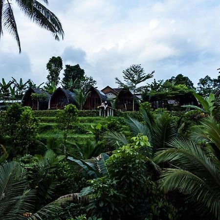 Omah Bapak Ijen Eco House Hotell Licin Eksteriør bilde