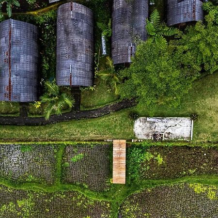 Omah Bapak Ijen Eco House Hotell Licin Eksteriør bilde