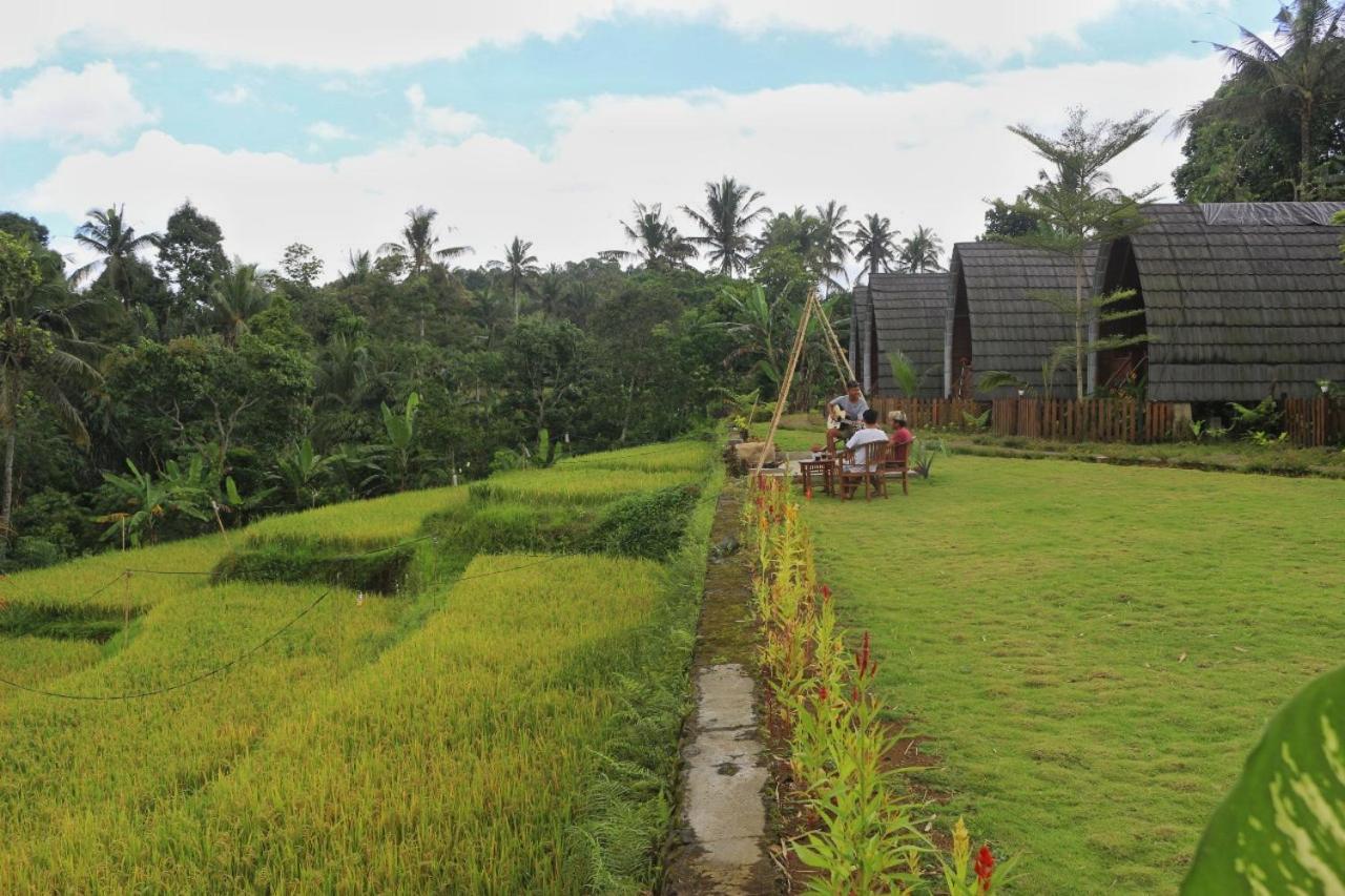 Omah Bapak Ijen Eco House Hotell Licin Eksteriør bilde