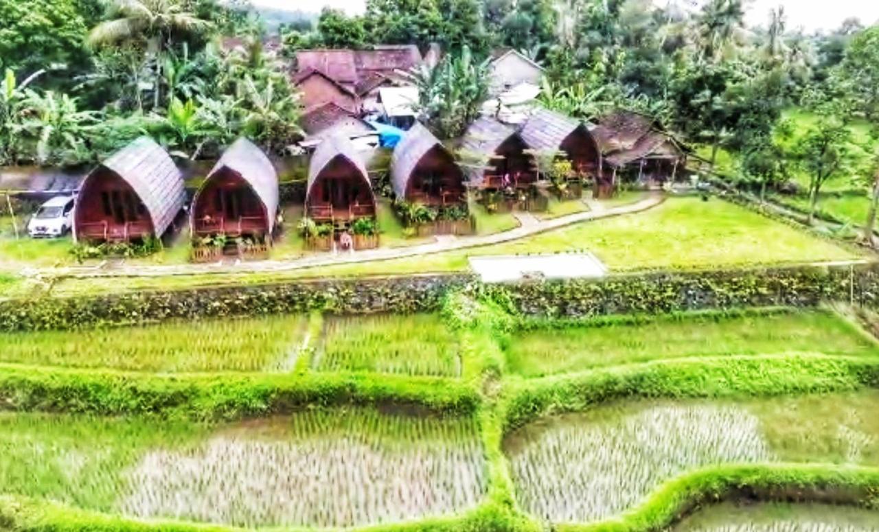 Omah Bapak Ijen Eco House Hotell Licin Eksteriør bilde