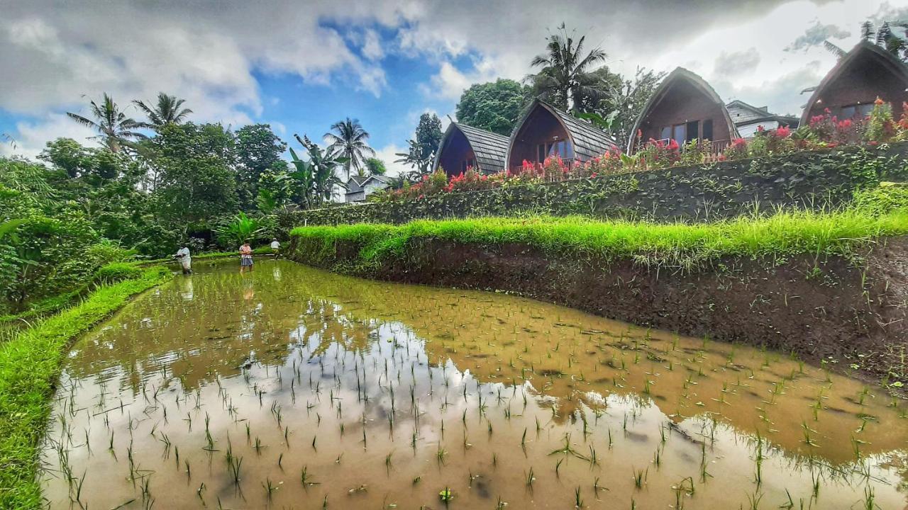 Omah Bapak Ijen Eco House Hotell Licin Eksteriør bilde