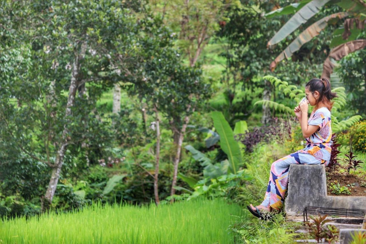 Omah Bapak Ijen Eco House Hotell Licin Eksteriør bilde