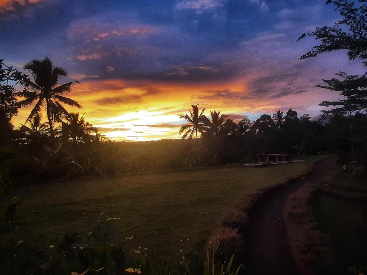Omah Bapak Ijen Eco House Hotell Licin Eksteriør bilde
