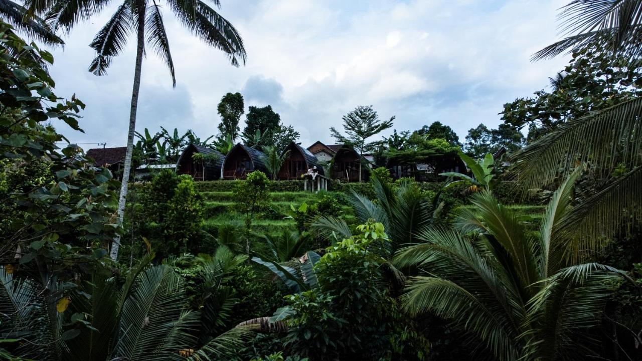 Omah Bapak Ijen Eco House Hotell Licin Eksteriør bilde