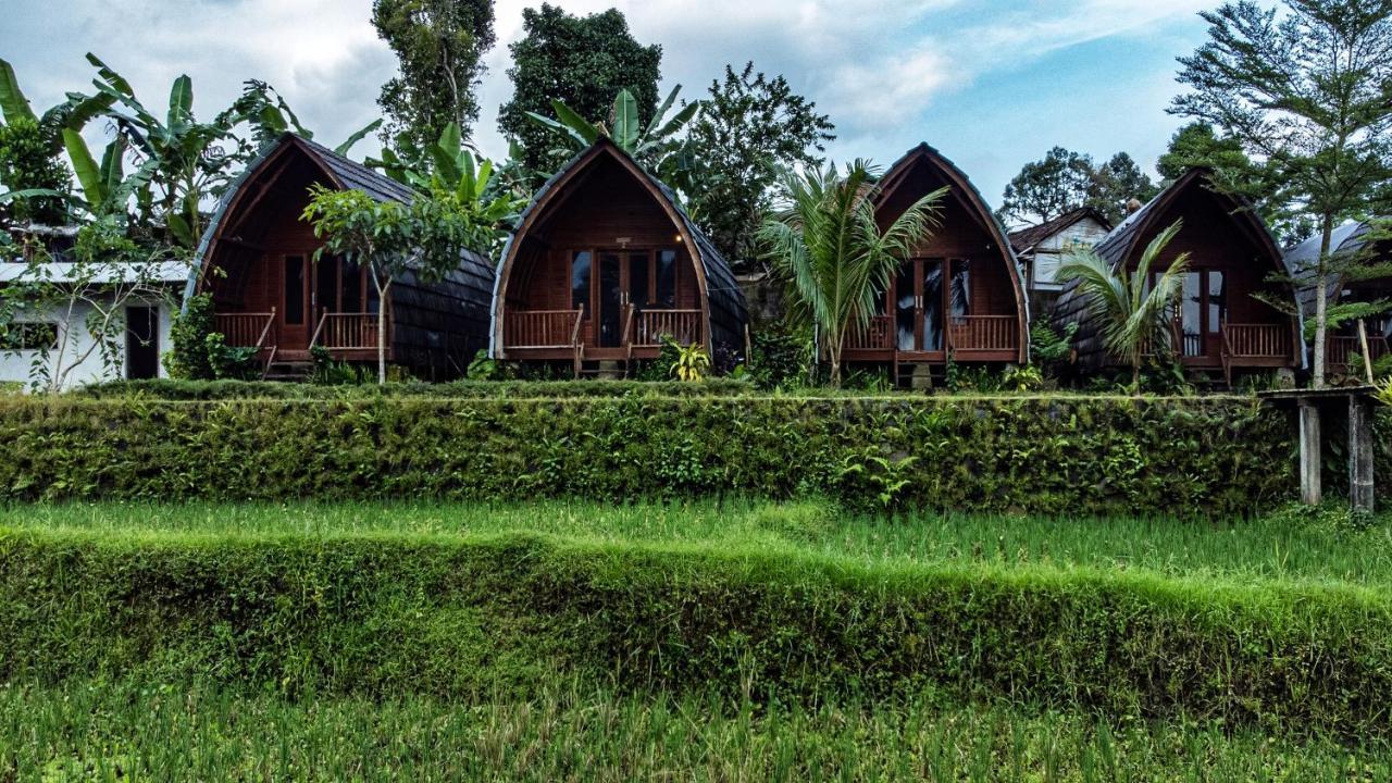 Omah Bapak Ijen Eco House Hotell Licin Eksteriør bilde